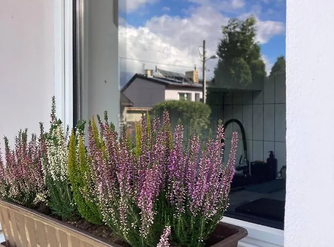 Loft-lux Appartamento Jelenia Góra